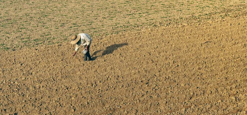 Landbouw en tuinbouw